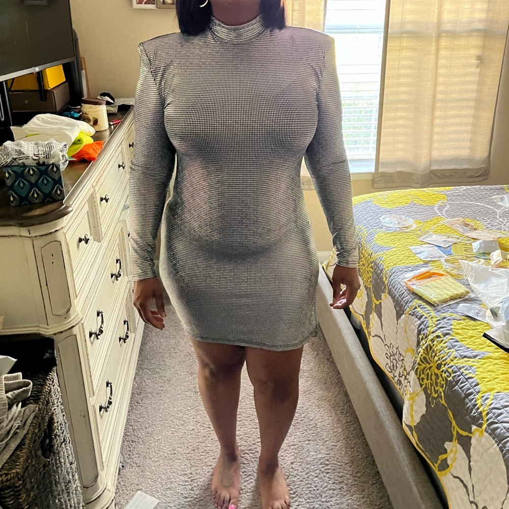 Silver dress. Brand new size large. Has some stretch.